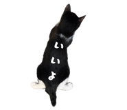 839087980