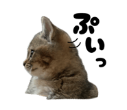 839087992