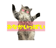 839087995