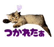 839087998