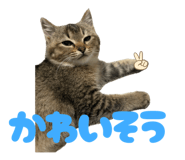 839087999