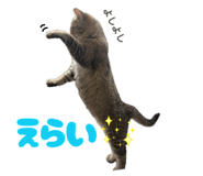 839088005