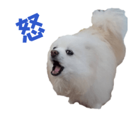 839088407