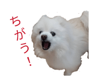 839088414