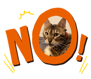 839089810