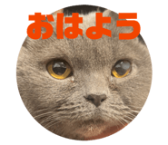 839089930