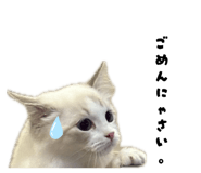 839090602