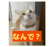 839091028
