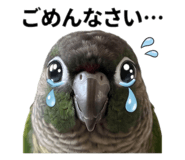 839091064
