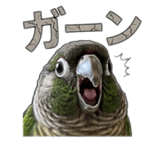 839091070
