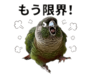 839091079