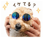 839091397