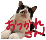 839091427