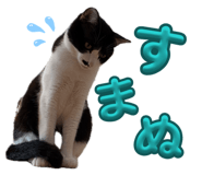 839091432