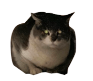 839091566