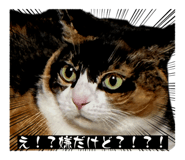 839091867