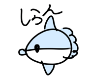 839092054