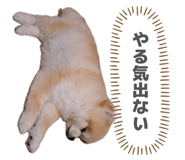 839092061
