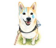 839092410