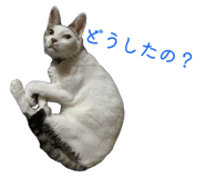 839092484