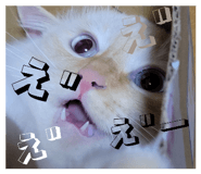 839092507