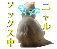 839092510