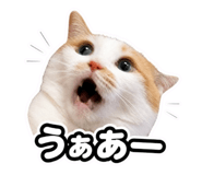 839093099