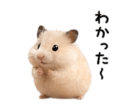839093430