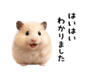 839093431
