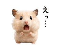 839093436