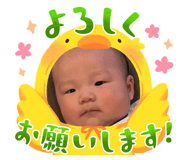 839093523