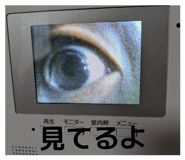 839094117
