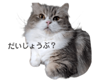 839094299