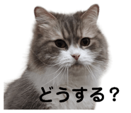 839094303