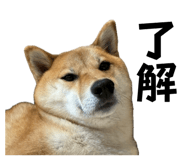 839095450