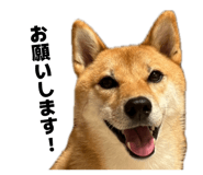 839095456