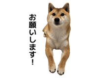 839095458