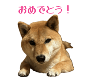 839095460