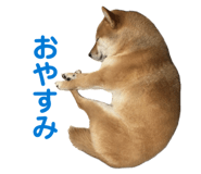 839095464