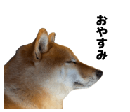 839095466