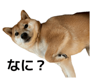 839095474