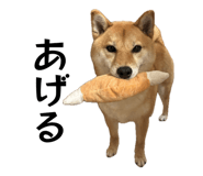 839095476