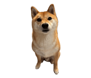 839095482