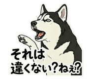 839095907