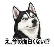 839095915