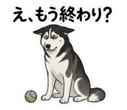 839095919