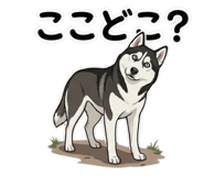 839095940