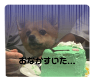 839096300