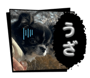 839096304