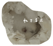 839097061